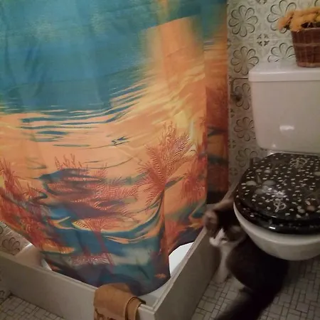 Gastzimmer Fuer Uebernachtung гостевая комната